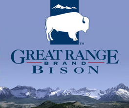 The Great Bison