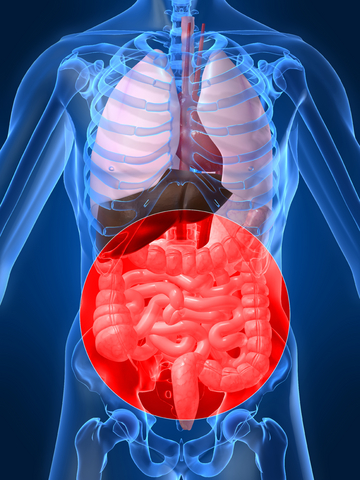 The symptoms of IBS are usually long term, and, although they can cause 