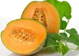 Listeria outbreak rocky ford melons #3